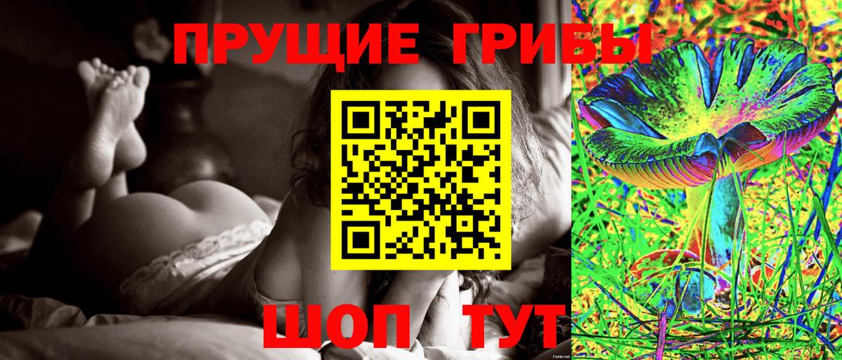 Видное  Галлюциногенные грибы прущие грибы  Вход с VPN 